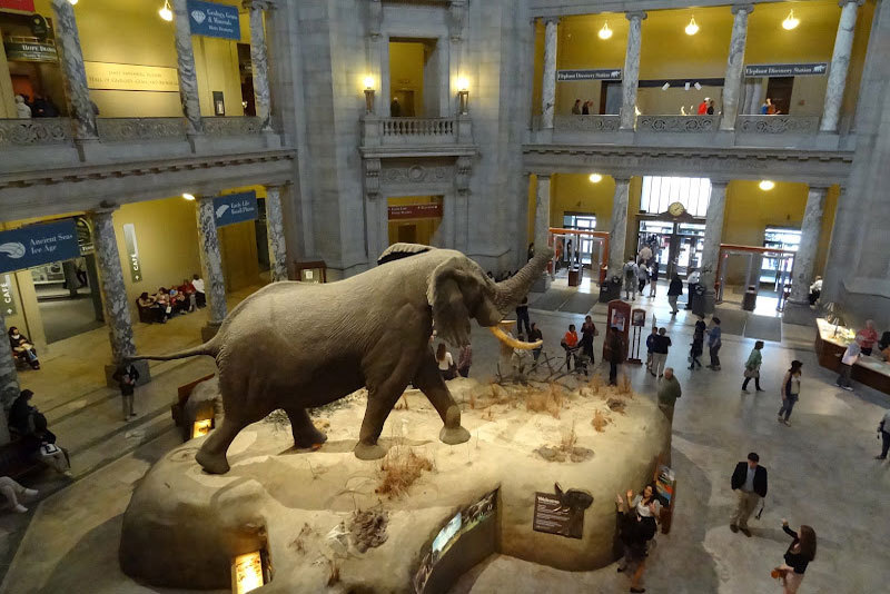 National Museum of Natural History